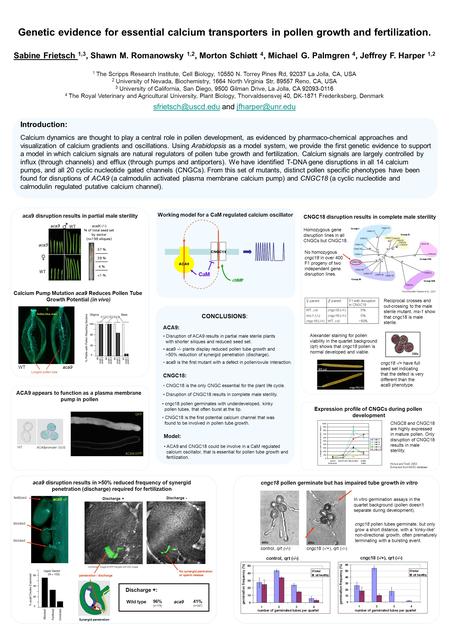 Genetic evidence for essential calcium transporters in pollen growth and fertilization. Sabine Frietsch 1,3, Shawn M. Romanowsky 1,2, Morton Schiøtt 4,