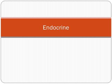 Endocrine. Lipid soluble hormones (steroid,thyroid hormones) Water soluble (peptide,proteins) ReceptorsInside the cell Usually in nucleus Outer surface.