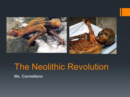 The Neolithic Revolution