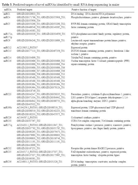 MiRNAPredicted targetsPutative function of targets miRC1GRMZM2G029833_T01DNA binding / DNA-directed RNA polymerase miRC4 GRMZM2G171796_T01; GRMZM2G355906_T03;