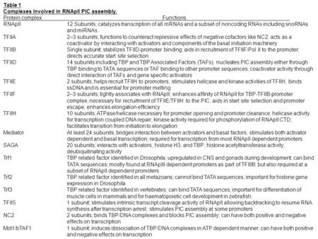 Table 1 Complexes Involved in RNApII PIC assembly. Protein complex Functions RNApII 12 Subunits; catalyzes transcription of all mRNAs and a subset of noncoding.