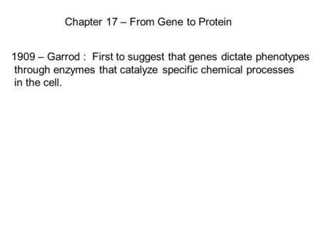 Chapter 17 – From Gene to Protein 1909 – Garrod : First to suggest that genes dictate phenotypes through enzymes that catalyze specific chemical processes.