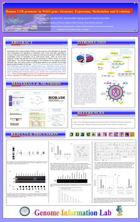 REFERENCES 1. J. Boeke, J. Stoye, Retrotransposons, endogenous retroviruses, and the evolution of retroelements, In Retroviruses (1997) 343–435. 2. J.