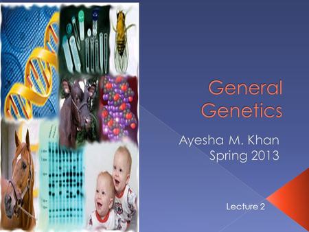 Lecture 2.  The world’s first agriculture is thought to have developed in the Middle East, in what is now Turkey, Iraq, Iran, Syria, Jordan, and Israel,