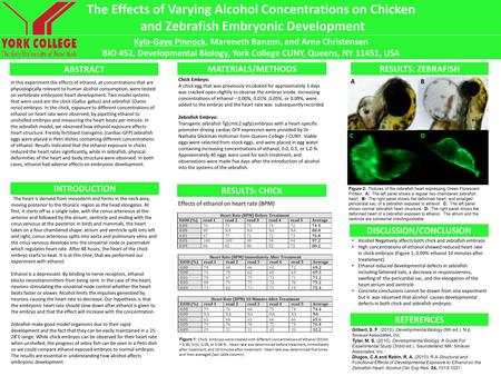 RESULTS: CHICK RESULTS: ZEBRAFISH ABSTRACT In this experiment the effects of ethanol, at concentrations that are physiologically relevant to human alcohol.