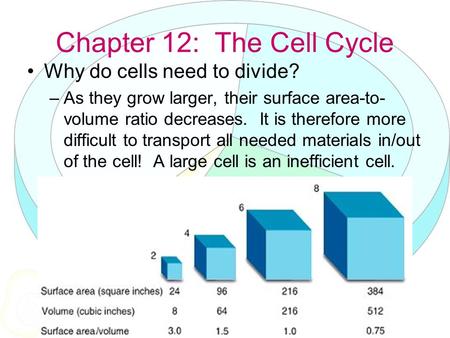 Chapter 12: The Cell Cycle Why do cells need to divide? –As they grow larger, their surface area-to- volume ratio decreases. It is therefore more difficult.