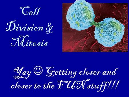 Cell Division & Mitosis Yay Getting closer and closer to the FUN stuff!!!