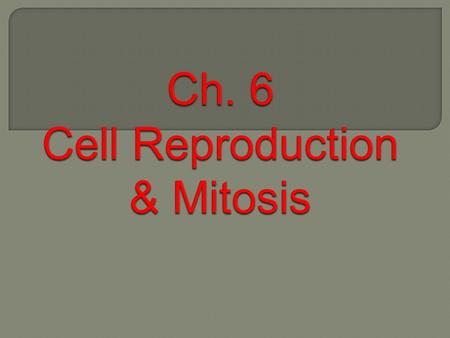  Role of DNA  1. Info. In DNA must be present in each cell after division  2. Stores info for which proteins to make and when  3. Directs cell activities.