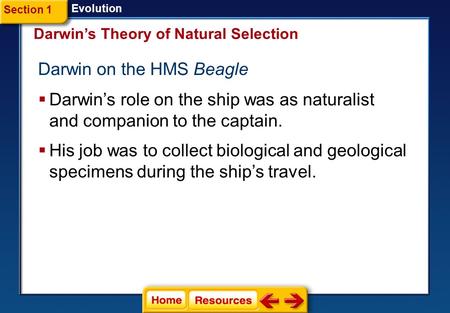 Darwin’s Theory of Natural Selection Darwin on the HMS Beagle Evolution  Darwin’s role on the ship was as naturalist and companion to the captain.  His.