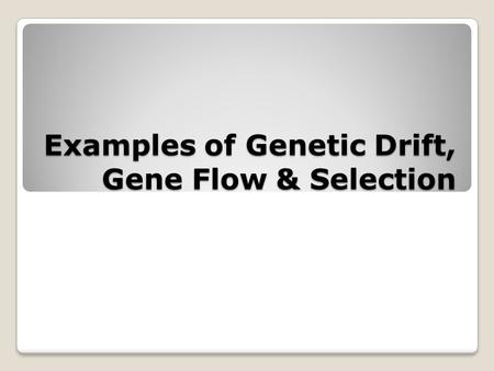 Examples of Genetic Drift, Gene Flow & Selection.