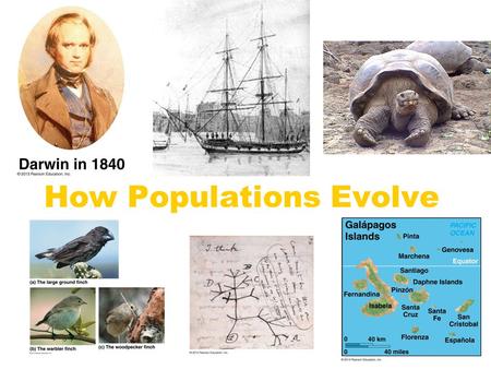 How Populations Evolve. Questions about Fossils A fossil is an impression of a life form found in a rock. How did that impression get there?