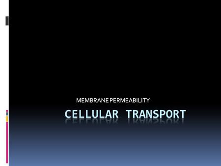 MEMBRANE PERMEABILITY. Cell Membrane Cell Membrane 1. All cells have a cell membrane 2. Functions: a. Controls what enters and exits the cell to maintain.