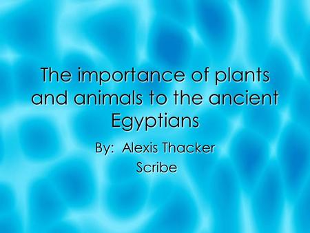 The importance of plants and animals to the ancient Egyptians By: Alexis Thacker Scribe By: Alexis Thacker Scribe.