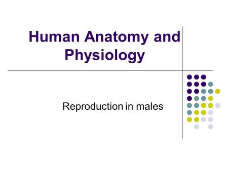 Human Anatomy and Physiology