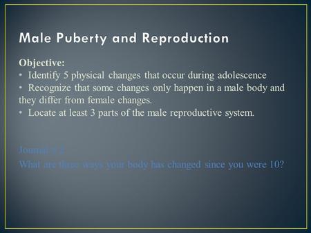 Objective: Identify 5 physical changes that occur during adolescence Recognize that some changes only happen in a male body and they differ from female.