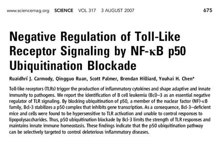 _detail_objectname_MR04_ TollLikeReceptorFamily.aspx  1/6/REPORTS/0079/figure/F1.