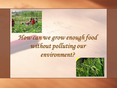 How can we grow enough food without polluting our environment?