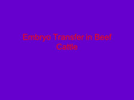 Embryo Transfer in Beef Cattle Heidi McGowen Casey Debow Jennifer Silva.