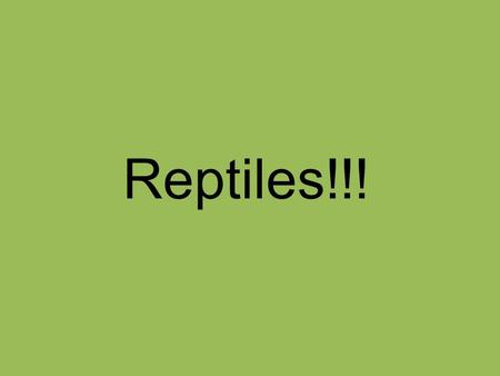 Reptiles!!!.