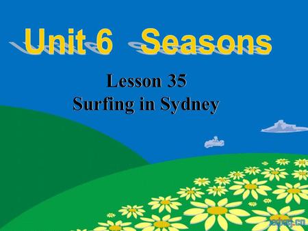 Lesson 35 Surfing in Sydney Lesson 35 Surfing in Sydney.