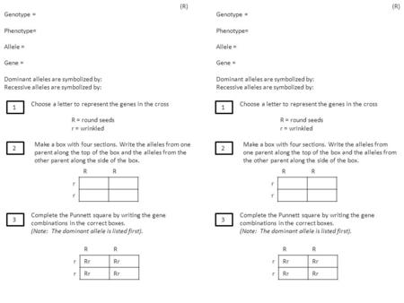 (R) Genotype = Phenotype= Allele = Gene = Dominant alleles are symbolized by: Recessive alleles are symbolized by: Choose a letter to represent the genes.