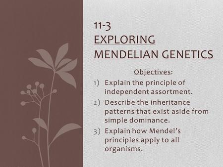 Objectives: 1)Explain the principle of independent assortment. 2)Describe the inheritance patterns that exist aside from simple dominance. 3)Explain how.