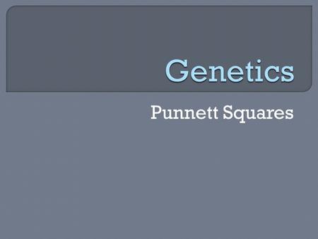 Punnett Squares.  __________ allele: always shows up when the allele is present, represented by a capital letter (R)  __________ allele: is hidden when.