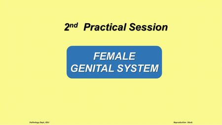 FEMALE GENITAL SYSTEM 2 nd Practical Session Reproduction block Pathology Dept, KSU.