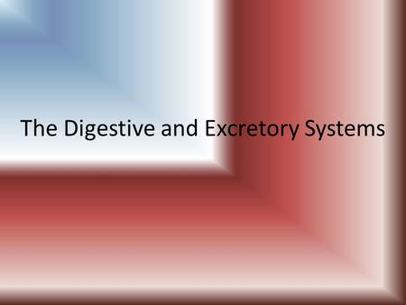 The Digestive and Excretory Systems. Objectives To list the organs of the digestive and excretory systems To describe the function of the organs of the.