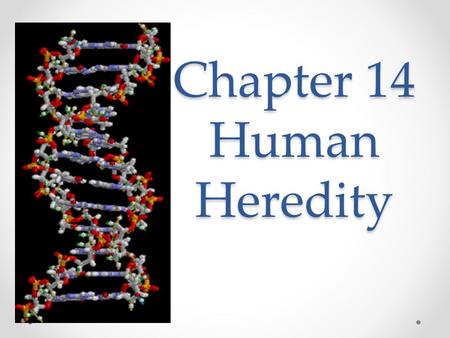 Chapter 14 Human Heredity