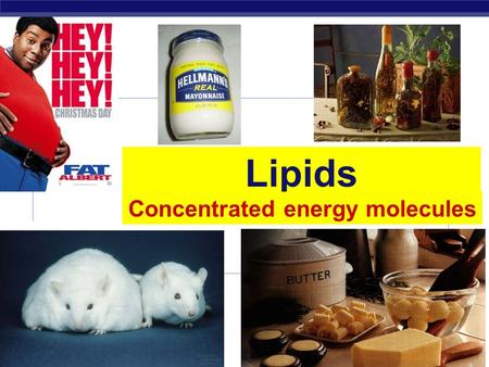 Regents Biology Lipids Concentrated energy molecules.