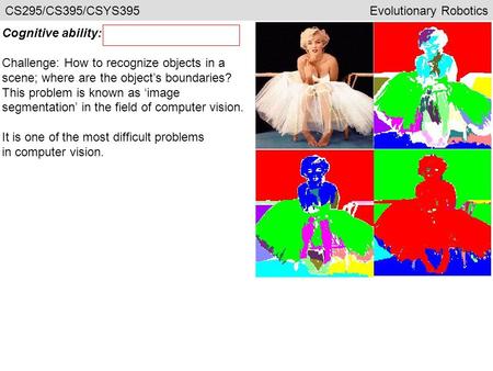 Cognitive ability: Challenge: How to recognize objects in a scene; where are the object’s boundaries? This problem is known as ‘image segmentation’ in.