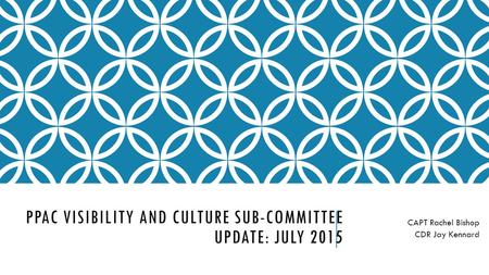 PPAC VISIBILITY AND CULTURE SUB-COMMITTEE UPDATE: JULY 2015 CAPT Rachel Bishop CDR Jay Kennard.