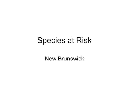 Species at Risk New Brunswick. Canada Lynx Description & Biology Medium size Grey-brown fur Inclined posture Long pointed tuffs on ears Entirely dark-tipped.