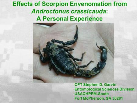 Effects of Scorpion Envenomation from Androctonus crassicauda: A Personal Experience CPT Stephen D. Garvin Entomological Sciences Division USACHPPM-South.