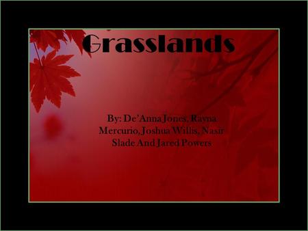 Grasslands By: De’Anna Jones, Rayna Mercurio, Joshua Willis, Nasir Slade And Jared Powers.