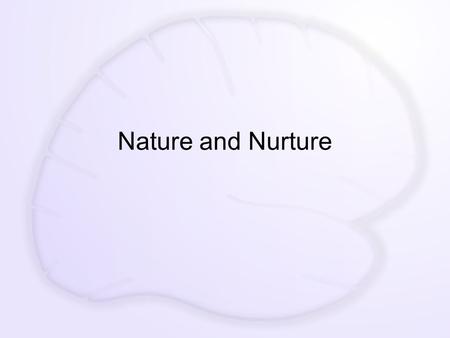 Nature and Nurture. QOTD Megan Rosa What do you think has a bigger impact in peoples lives in making them who they are? A. Nature (environment) B. Nuture.