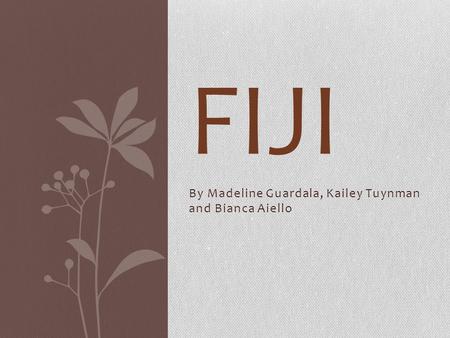 By Madeline Guardala, Kailey Tuynman and Bianca Aiello FIJI.