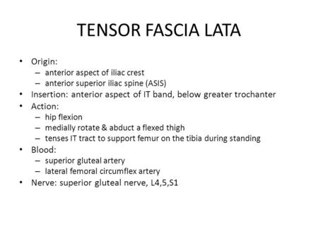 TENSOR FASCIA LATA Origin: