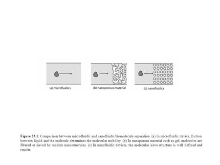 Figure 23.1: Comparison between microfluidic and nanofluidic biomolecule separation. (a) In microfluidic device, friction between liquid and the molecule.