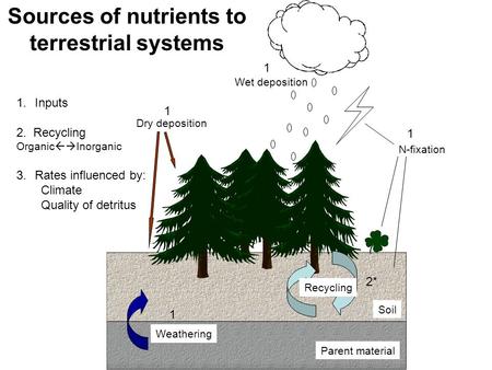 Sources of nutrients to terrestrial systems