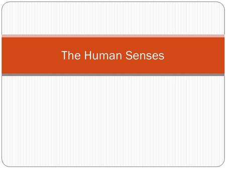 The Human Senses. How does our body enable us to TASTE & SMELL? Sensory nerves associated with taste and smell are located in the mouth and nasal cavity.