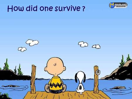 How did one survive ? How did one survive growing up in the 70’s, 80’s and 90’s ?