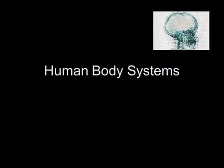 Human Body Systems.