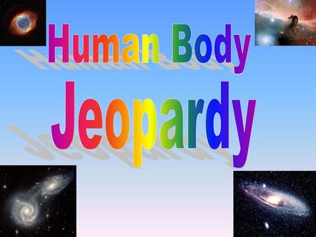 100 200 400 300 400 Respiratory System Circulatory System Digestive System Excretory System 300 200 400 200 100 500 100 Final Jeopardy Final Jeopardy.