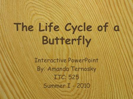 The Life Cycle of a Butterfly