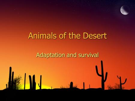 Animals of the Desert Adaptation and survival. What features of this bighorn help in its survival?