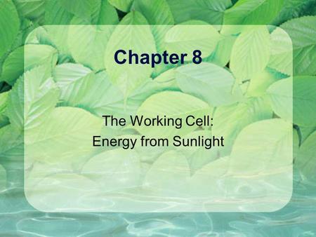 The Working Cell: Energy from Sunlight