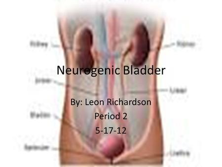 Neurogenic Bladder By: Leon Richardson Period 2 5-17-12.