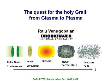 The quest for the holy Grail: from Glasma to Plasma Raju Venugopalan CATHIE-TECHQM workshop, Dec. 14-18, 2009 Color Glass Condensates Initial Singularity.